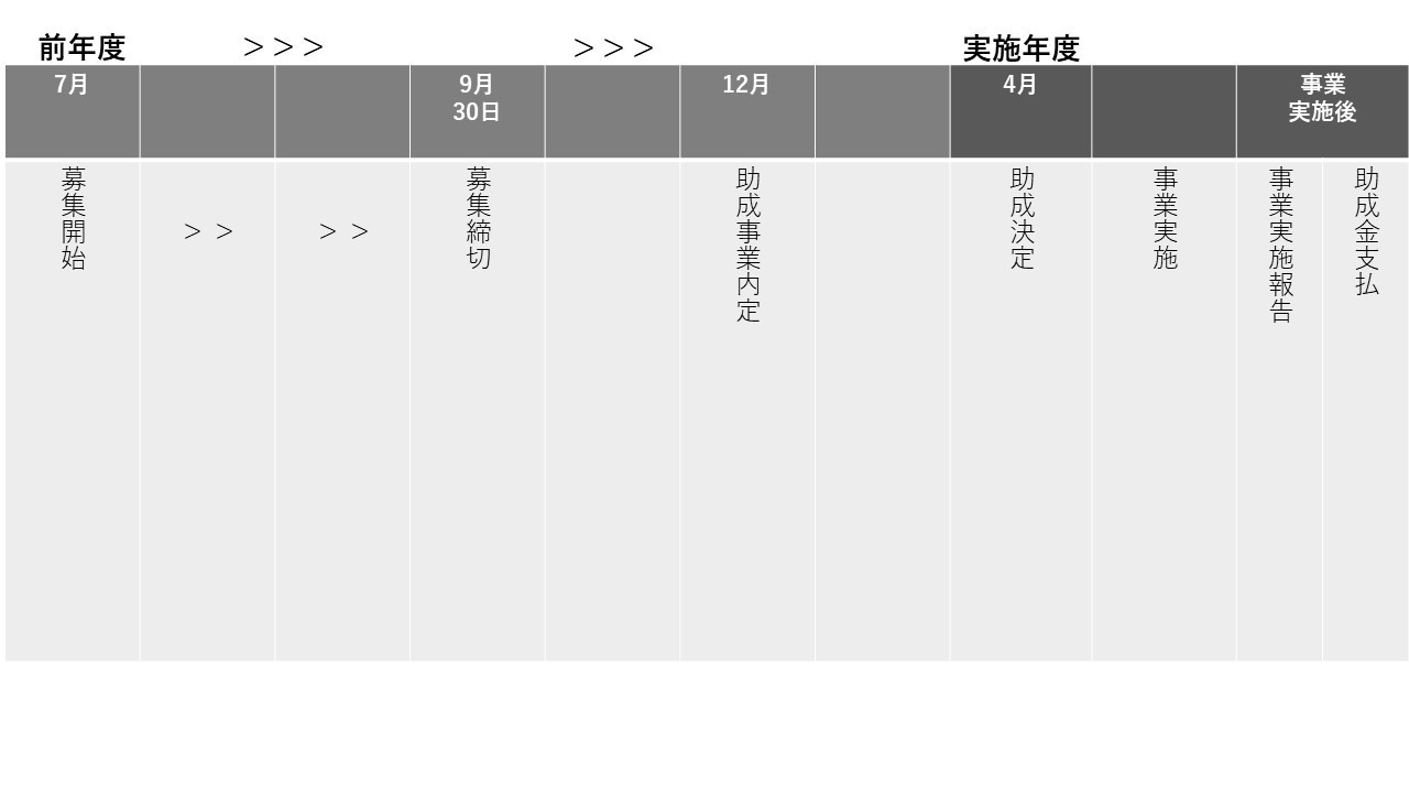 HP用 事業実施スケジュール(助成) 完成版.jpg